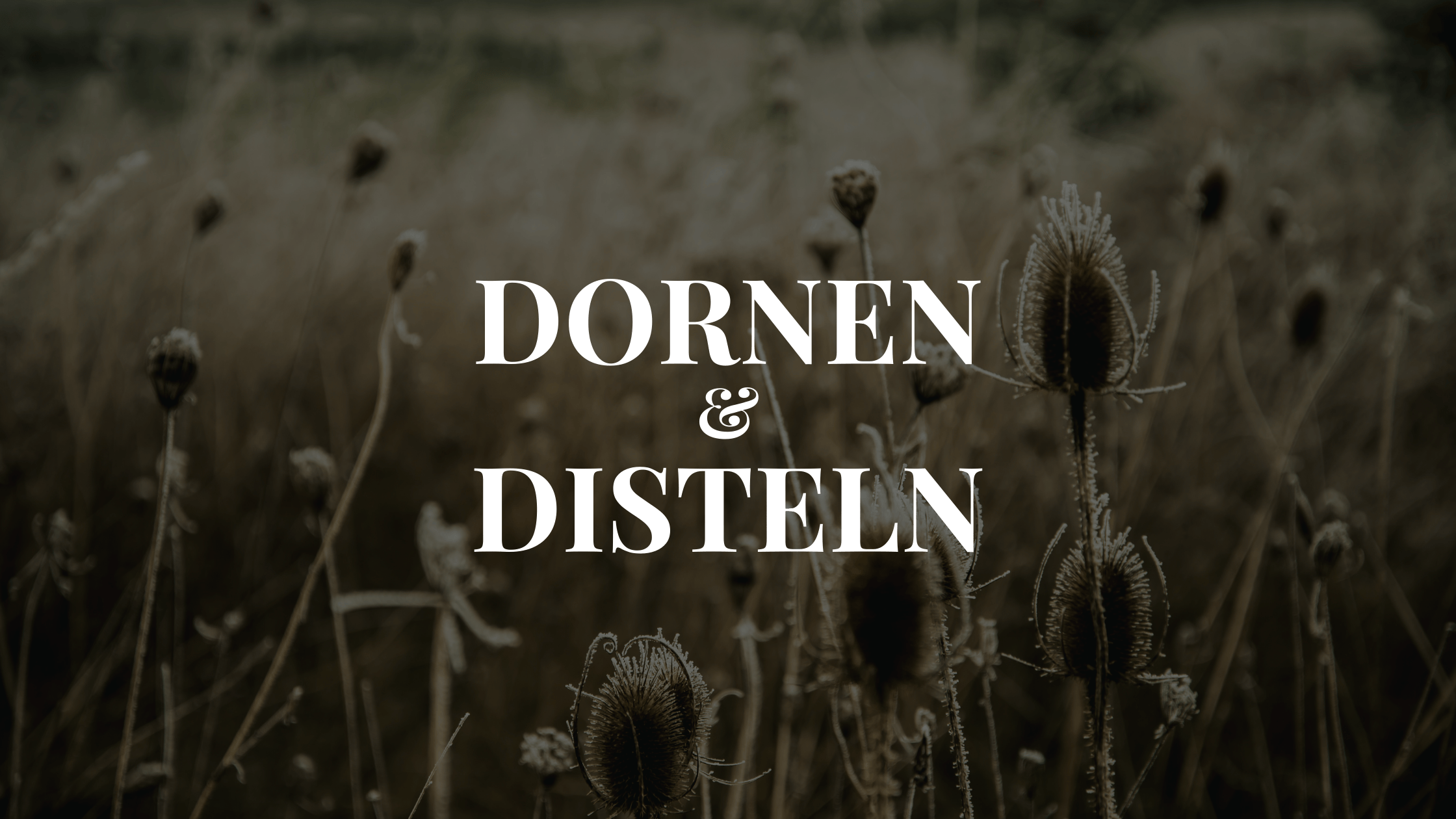 Dornen und Disteln