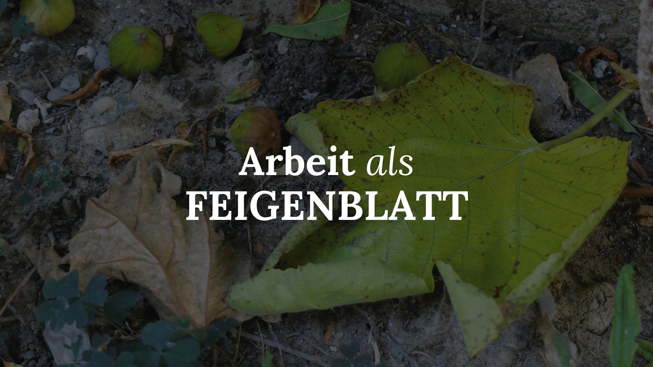 Feigenblatt