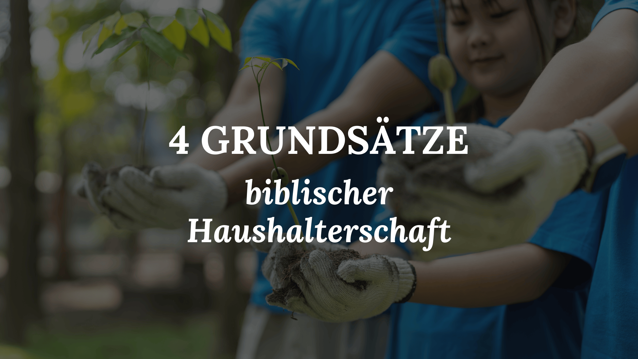 Junge Pflanzen