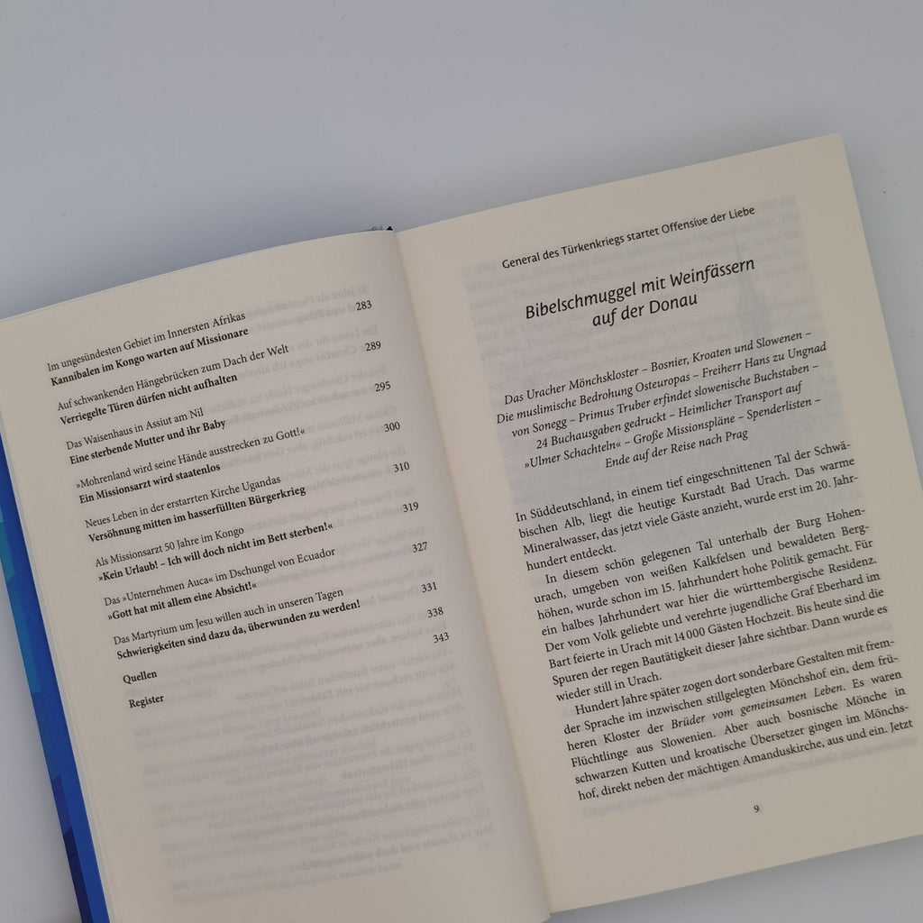 Scheffbuch: Jenseits der endlosen Meere (Print)