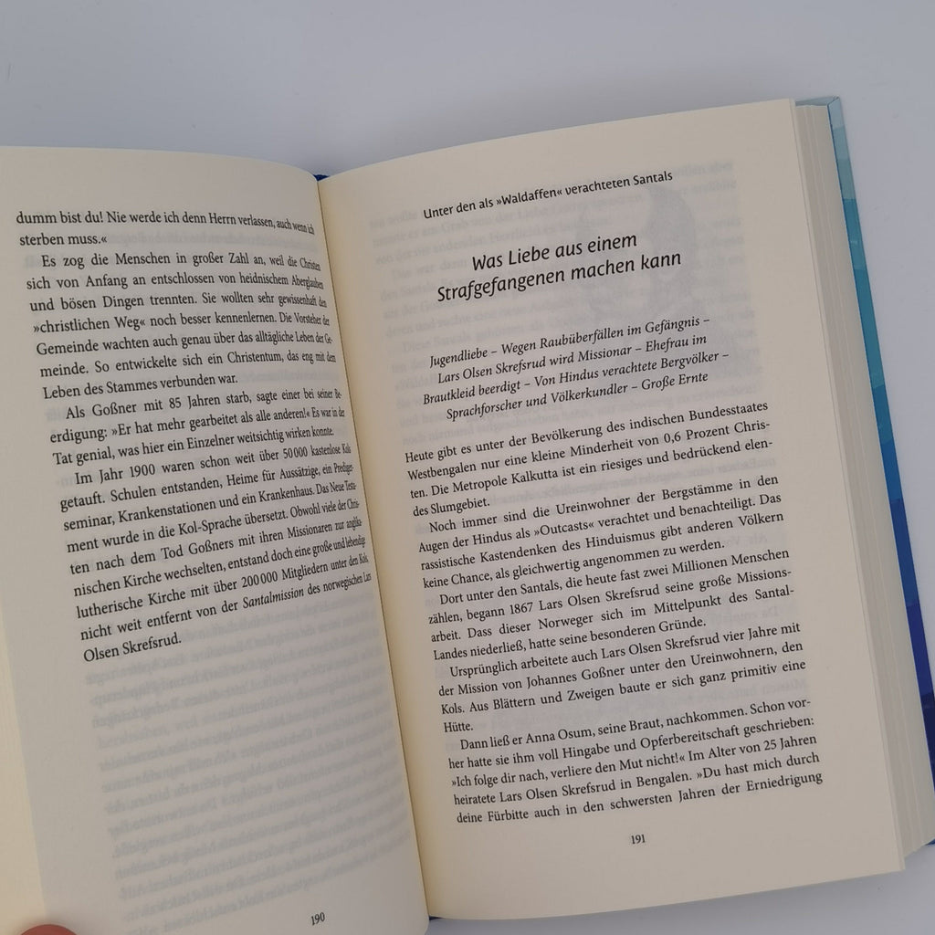 Scheffbuch: Jenseits der endlosen Meere (Print)